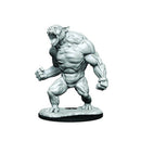 Wizkids: Critical Role: Aeorian Reverser