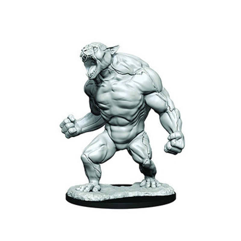 Wizkids: Critical Role: Aeorian Reverser