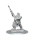 Wizkids: Critical Role: ONi