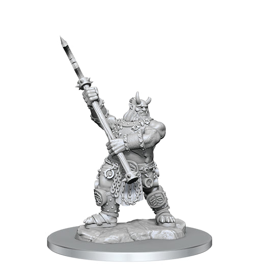 Wizkids: Critical Role: ONi