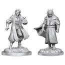 Wizkids: Critical Role: Male Human Sorcerer Merchant & Tiger Demon