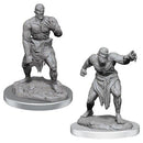 Wizkids: Nolzur's Marvelous Miniatures: Flesh Golems