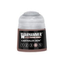 Warhammer Tone Pro: Carthalos Skin 4