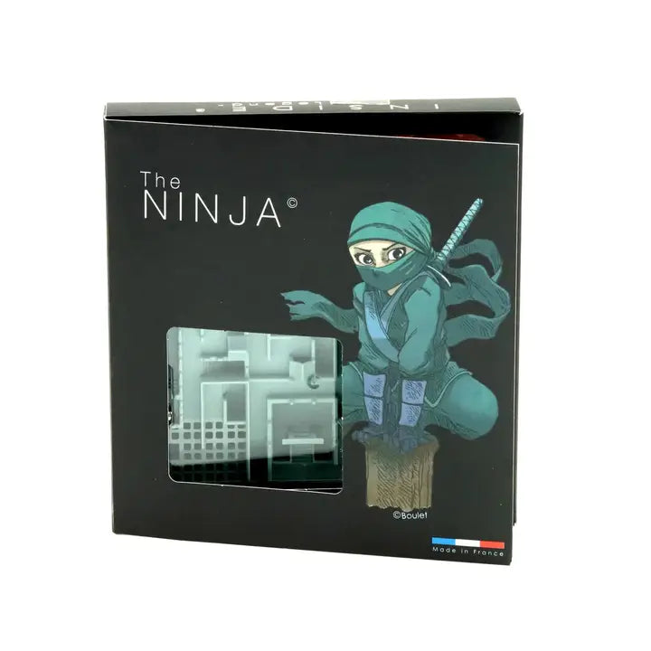 Inside 3 Legends: The Ninja