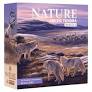 Nature - Artic Tundra: Module 4