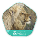 Storypod: Audio Token: Safari Wonders