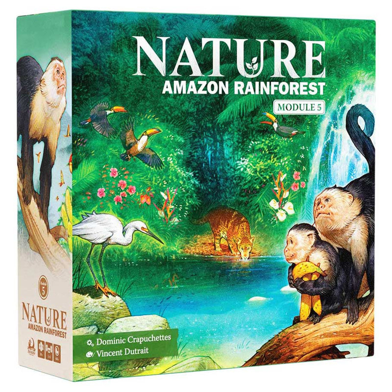 Nature: Amazon Rainforest
