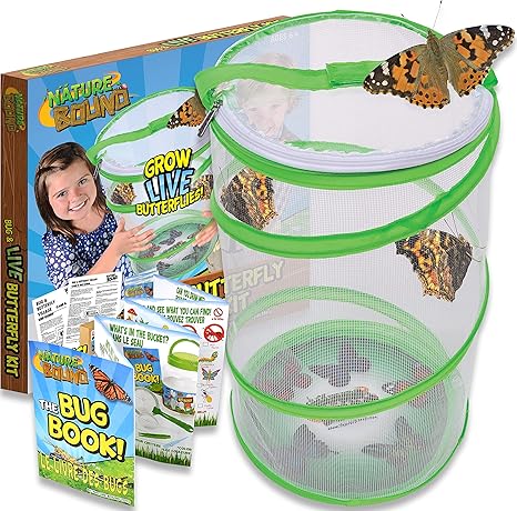 Nature Bound: Bug & Butterfly Kit