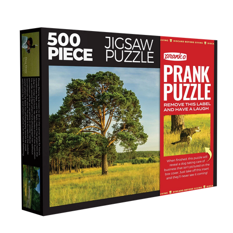 Prank-o: Prank Puzzle: Alone At Last