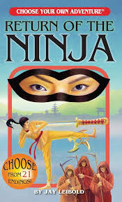 Choose Your Own Adventure Book: Return of the Ninja