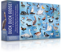 Wingspans: 1000 Piece Puzzle: Duck Duck Goose