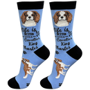 Life is Better Socks: Cavalier King Charles