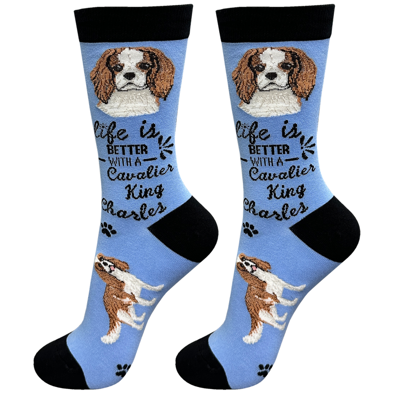 Life is Better Socks: Cavalier King Charles