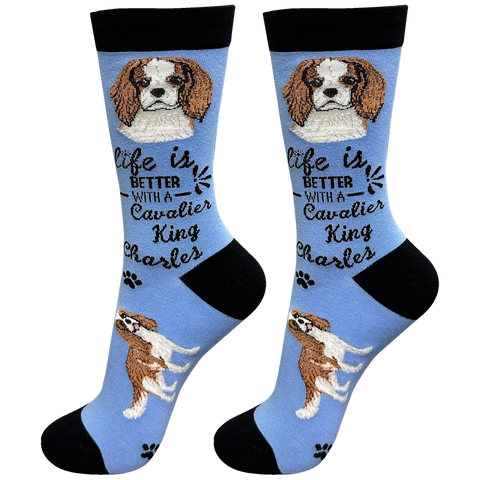 Life is Better Socks: Cavalier King Charles