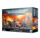 Warhammer 40,000: Space Marines: Bladeguard Veterans