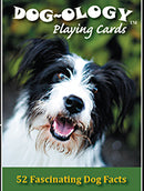 Sea to Sky Playing Cards - Dog-ology