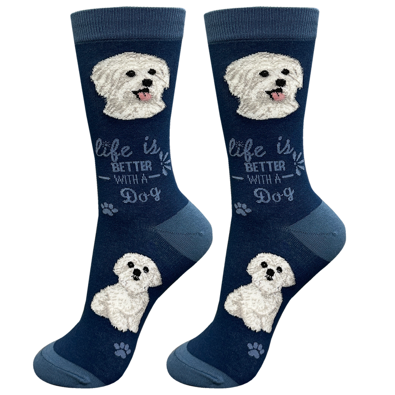 Life is Better Socks: Maltese