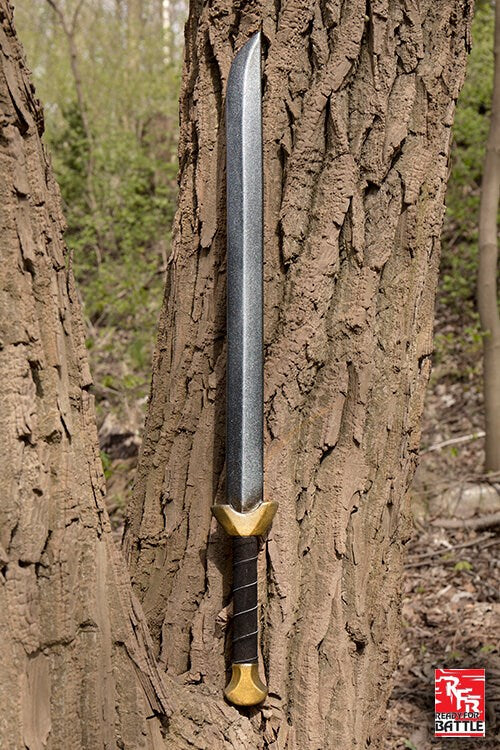 Iron Fortress: Sword Chai