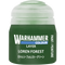 Warhammer Colour: Layer: Loren Forest