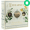 Endearment: Fall in Love in Jane Austen's England