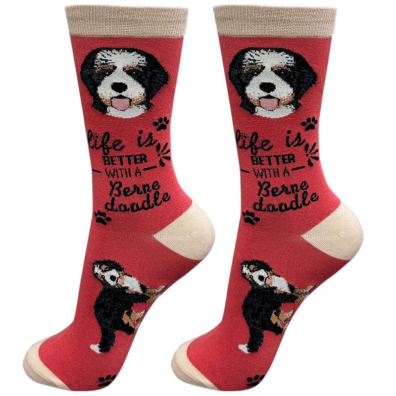 Life is Better Socks: Bernadoodle