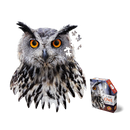 Madd Capp Puzzle: I am Owl (300 Pieces)