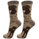 Life is Better Socks: Labrador Chocolate