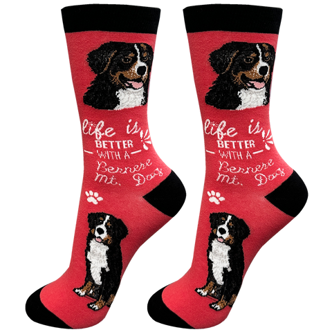 Life is Better Socks: Bernese Mt. Dog