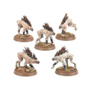 Warhammer 40,000: Tau Empire: Kroot Hounds
