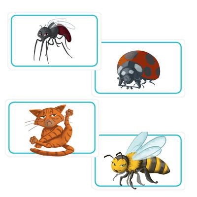 Concept Kids - Animals