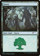 Forest (Tree Hugging) (572) [Secret Lair Drop Promos]