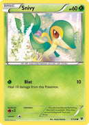 Snivy (5/124) [XY: Fates Collide]