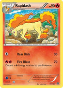 Rapidash 017  XY  Steam Siege - Uncommon