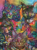 Starz Puzzles: Bed Cats: Wooden (57 Piece)