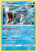 Gyarados 020  - Holofoil Dragon Majesty - Holo Rare