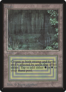 Bayou [Beta Edition]