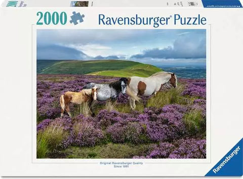 Ravensburger: 2000 Piece: Wild Horses in the Heather