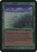 Lifelace [Alpha Edition]