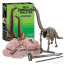 Dig A Dinosaur Skeleton: Brachiosaurus