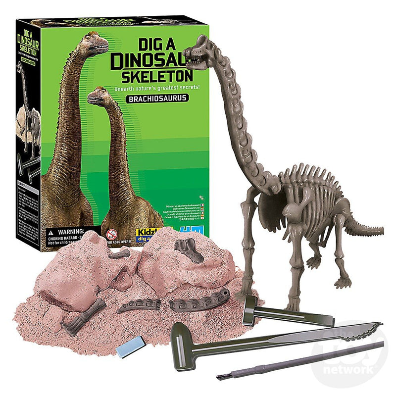 Dig A Dinosaur Skeleton: Brachiosaurus