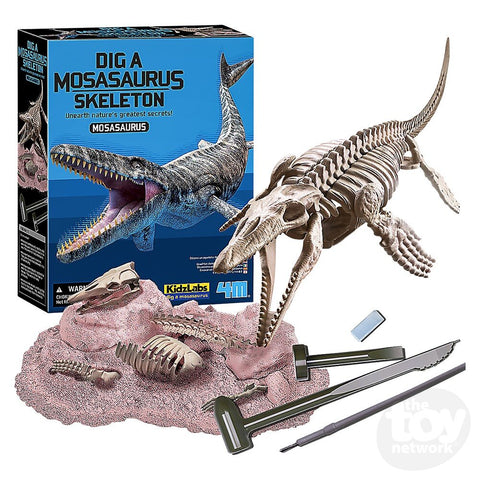 Dig A Dinosaur Skeleton: Mosasaurus
