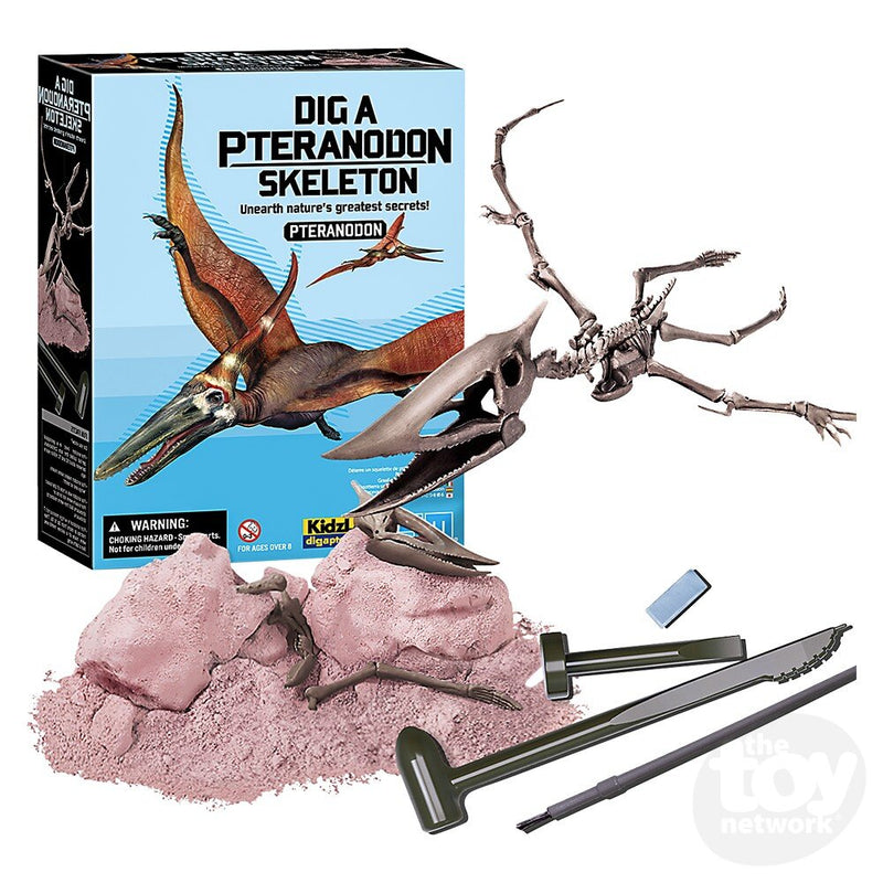 Dig A Dinosaur Skeleton: Pteranodon