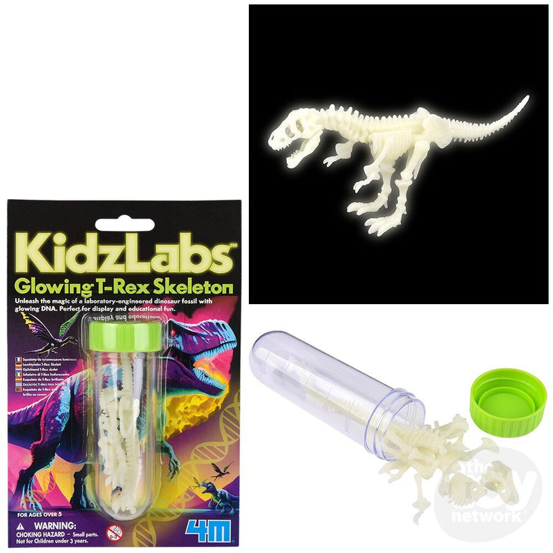 KidzLabs: Glowing T-Rex Skeleton