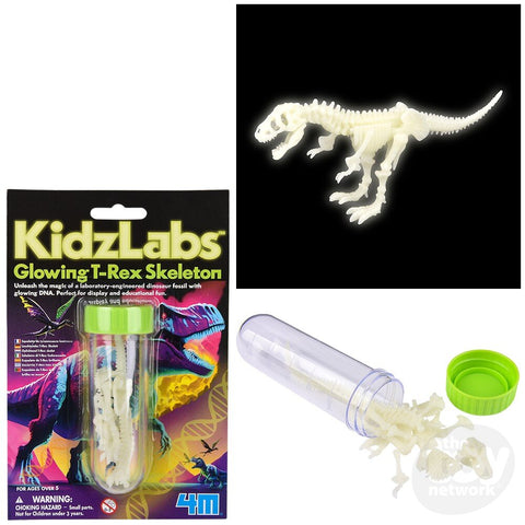 KidzLabs: Glowing T-Rex Skeleton