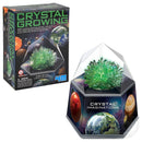 Crystal Growing: Crystal Imaginations: Green