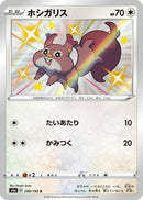Skwovet - 298/190 (298/190) - S4a Shiny Star V Holofoil