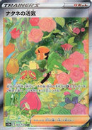 Gardenia's Vigor - 243/172 (243/172) - S12a VSTAR Universe Holofoil