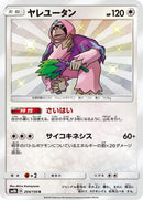 Oranguru - 204/150 (204/150) - SM8b GX Ultra Shiny Holofoil