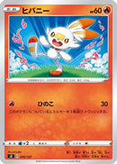 Scorbunny (016/127) - sD V Starter Decks