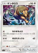 Tauros (074/127) - sD V Starter Decks